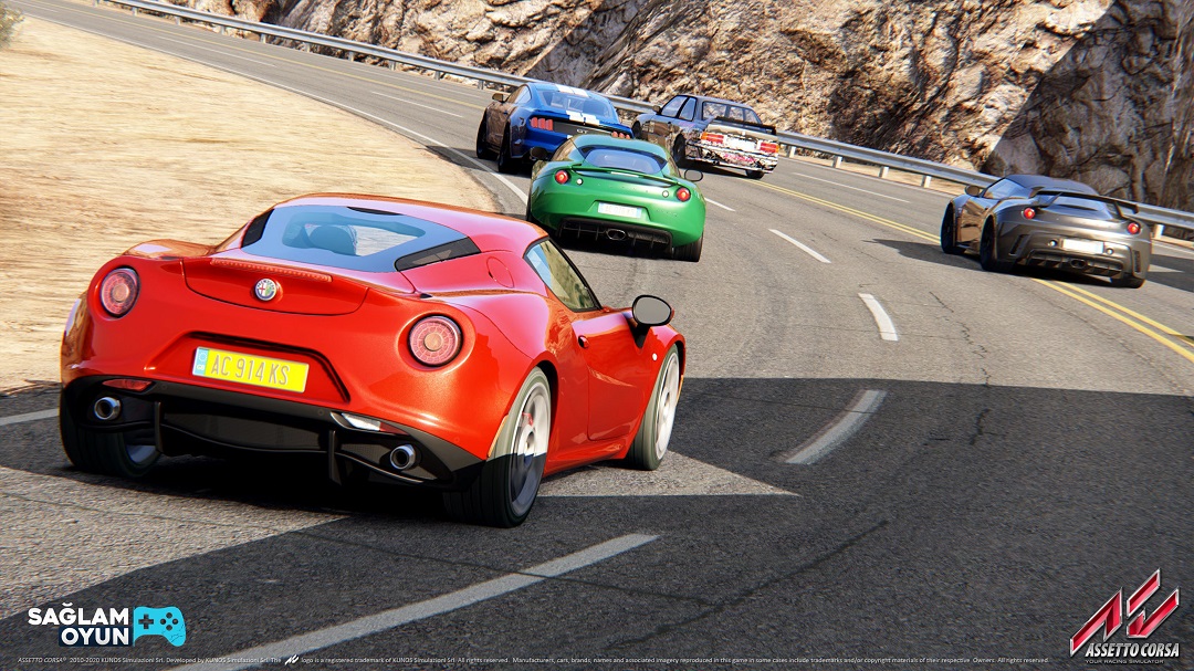 Assetto Corsa Satın Al