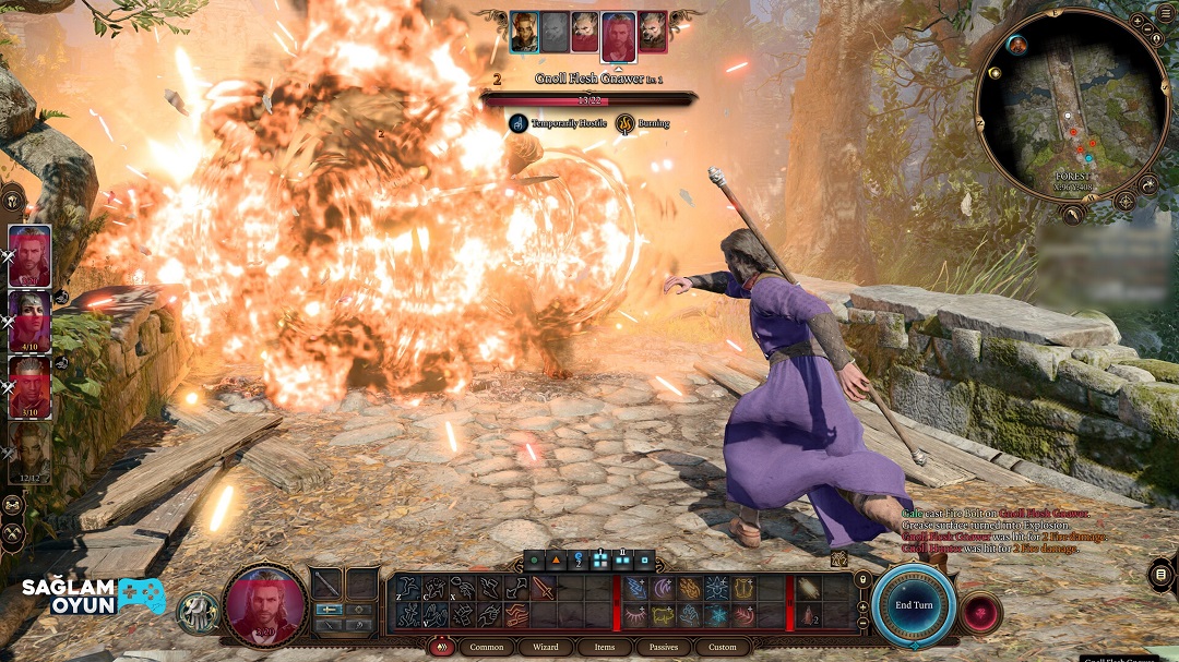 Baldur's Gate 3 Satın