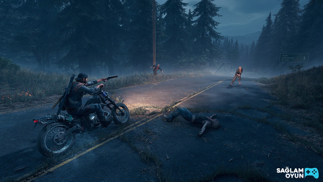 Days Gone Satın Al