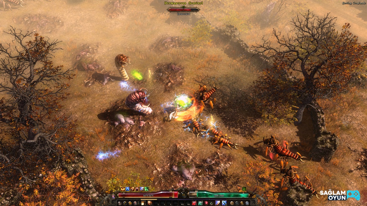 Grim Dawn Satın Al